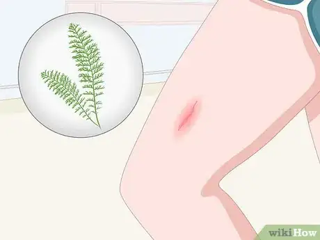 Image titled Make Herbal Lotions and Salves Step 4