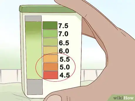Image titled Grow Rhododendron Step 4