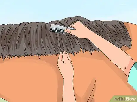 Image titled Pull a Horse's Mane Step 6