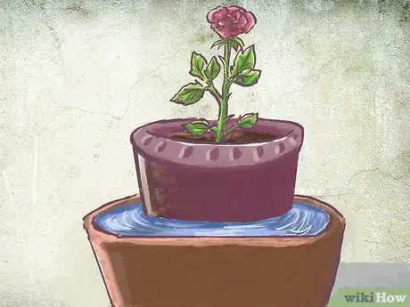Image titled Plant a Bare Rooted Rose Bush in a Pot Step 8