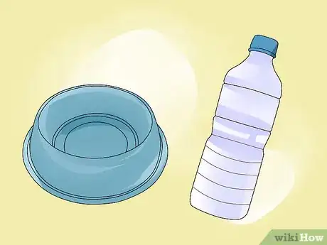 Image titled Dine Out with Your Dog Step 7