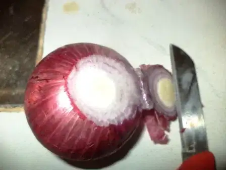 Image titled DSC02645.JPG