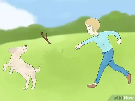 Image titled Calm a Hyperactive Dog Step 6