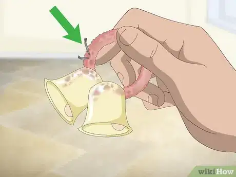 Image titled Clean a Cockatiel Habitat Step 6