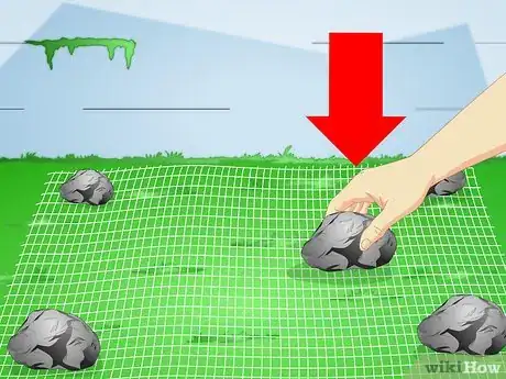 Image titled Make a Puppy Stop Digging Step 13