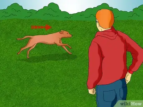 Image titled Keep Your Dog in Shape Step 2