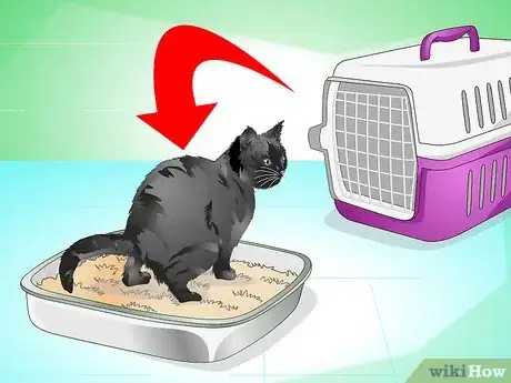 Image titled Introduce a Cat to a New Home Step 9