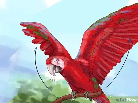 Image titled Stop a Greenwing Macaw from Biting Step 11