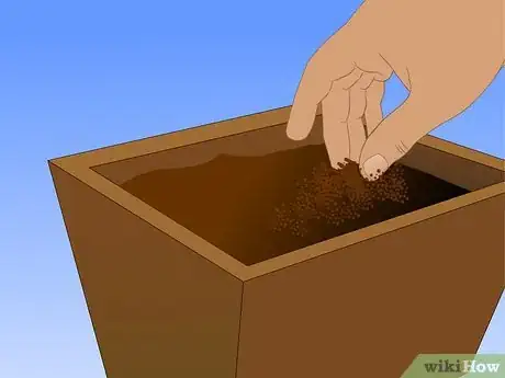 Image titled Grow Ornamental Flowering Kale Plants Step 6