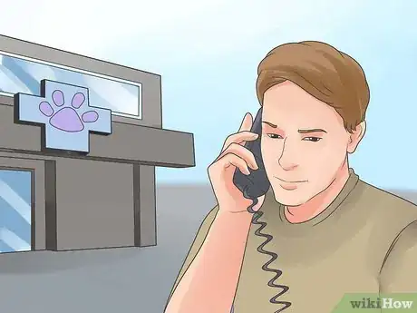 Image titled Take Proper Care of Your Horse's Teeth Step 20