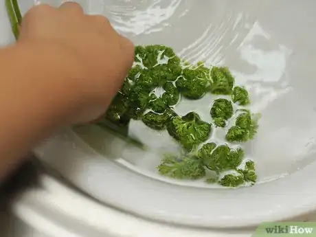 Image titled Prepare Parsley Step 4