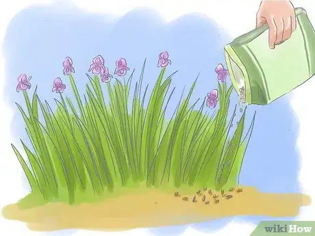 Image titled Take Care of Irises when Their Flowers Die Step 11