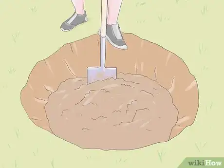 Image titled Grow Hydrangeas Step 5