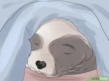 Image titled Control Arthritis Pain in Dogs Step 7