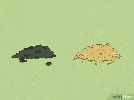 Image titled Feed a Squirrel Step 6