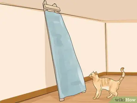 Image titled Teach a Cat to Climb a Ladder Step 3