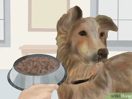 Image titled Treat a Dog for Rabies Step 15