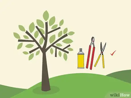 Image titled Prune an Avocado Tree Step 05