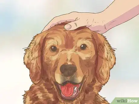 Image titled Evaluate a Dog's Temperament Before Choosing Step 11