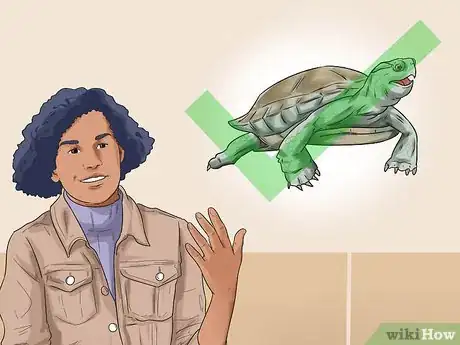Image titled Buy a Turtle Step 3