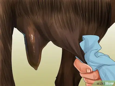 Image titled Milk a Goat by Hand Step 7