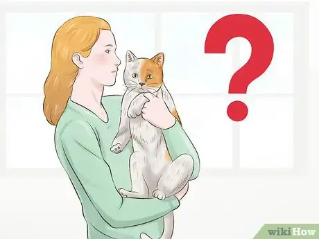 Image titled Take Care of Your Pet Step 1