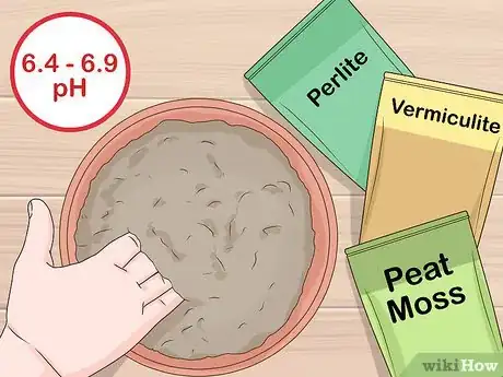 Image titled Grow African Violets Step 5