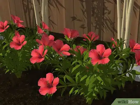 Image titled Design an Exotic Garden Step 9