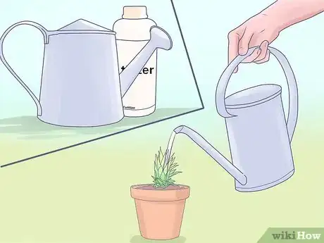 Image titled Grow Dwarf Pineapples Step 5