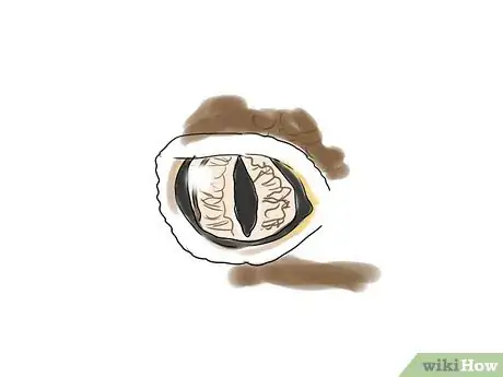 Image titled Choose a Leopard Gecko Step 2