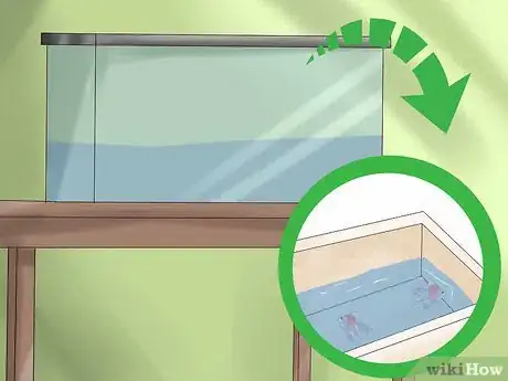 Image titled Transport Fish Step 19