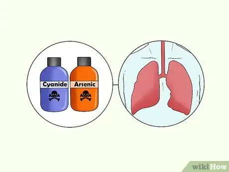 Image titled Protect Pets from Secondhand Smoke Step 8