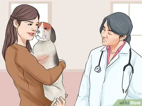 Image titled Encourage Your New Dog to Listen to You Step 13