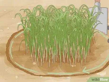 Image titled Divide Overgrown Perennials Step 7