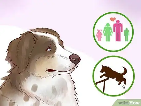 Image titled Adopt a Herding Dog Step 6