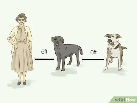 Image titled Help Animal Shelters During the Coronavirus Outbreak Step 7