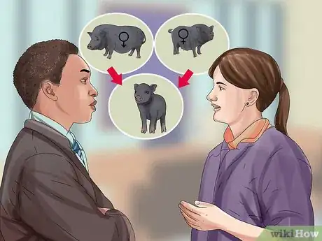 Image titled Have a Potbellied Pig for a Pet Step 4