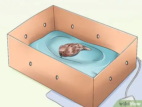 Image titled Care for an Injured Wild Bird That Cannot Fly Step 11