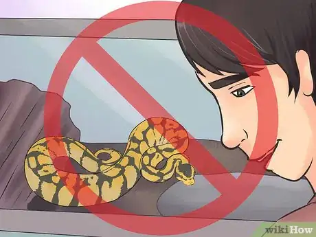 Image titled Hold a Snake Step 4