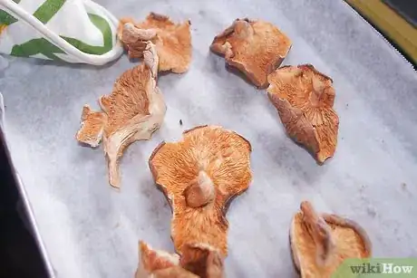 Image titled Dry Mushrooms Step 7