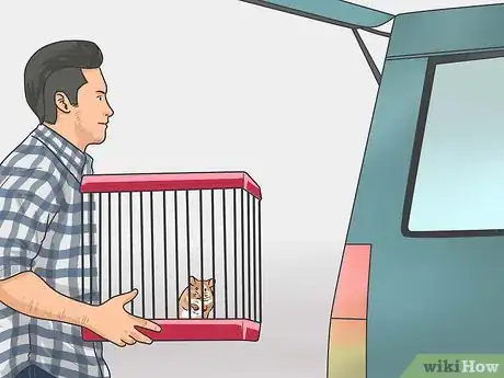 Image titled Travel With a Small Pet Step 13