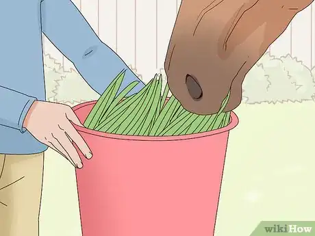 Image titled Feed a Horse Treats Step 7