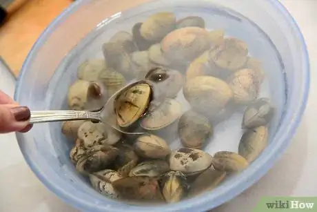 Image titled Cook Little Neck Clams Step 3
