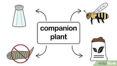 Image titled Companion Plant Step 1