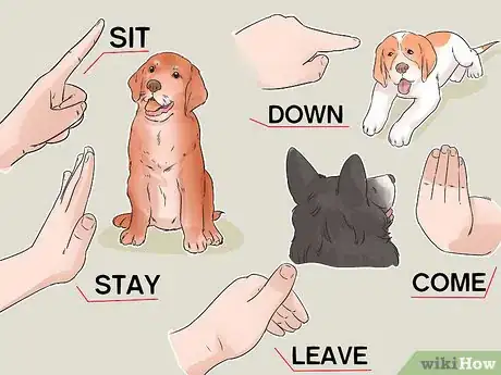Image titled Involve a Dog in Pet Therapy Work Step 2