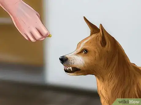 Image titled Keep Kids’ Toys Away from Dogs Step 2