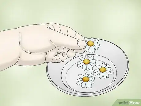 Image titled Make Pyrethrum Garden Spray Step 2