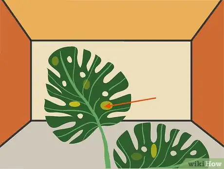 Image titled Grow Philodendron Step 12