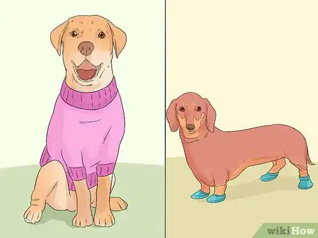 Image titled Choose Gifts for New Dog Owners Step 5