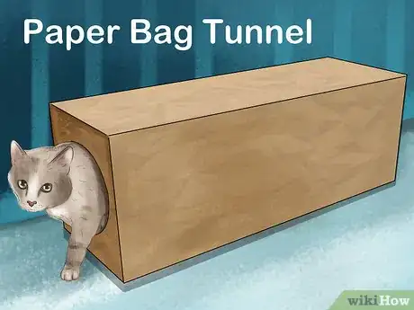 Image titled Use Cat Tunnels Step 2